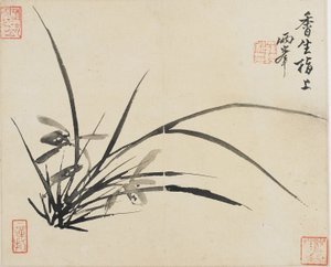 風景、花と鳥：蘭、清王朝、1780年（紙にインク）